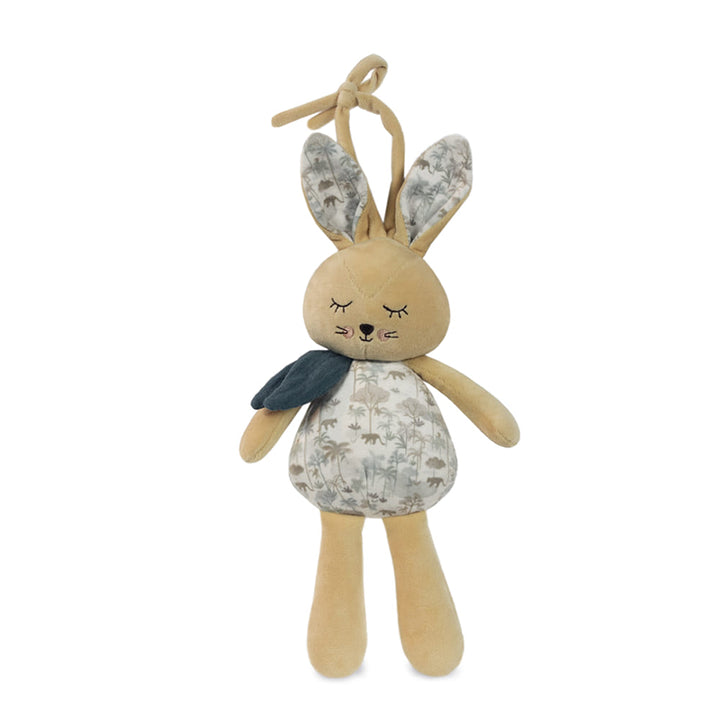 PasitoaPasito | Carillon | Rabbit | Serengueti